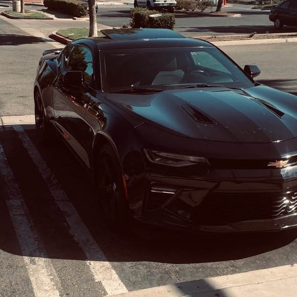 Meet your Posher, Daniel - Picture 1 of 1